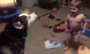 मजेदार व्हिडिओ ! आऊ......