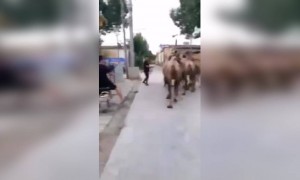 डाव्या बाजूने ओव्हरटेक करू नये..