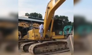 या व्हिडीओसाठी शब्दच नाहीत