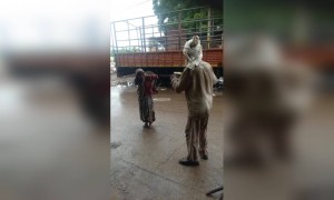 असा जोडीदार हवा जो कोणत्याही परिस्थितीत तुमची साथ देईल.