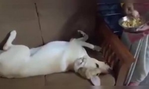 आई ही आईच असते.. तीची माया कोणावरच कमी पडत नाही..