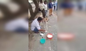 खूप कमी लोक आहेत जे आजही माणुसकी जपतात..