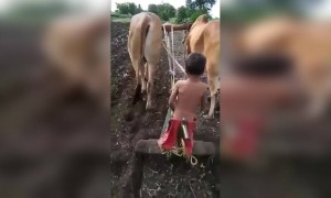 आयुष्याची सुरुवात धरणी मातेला प्रणाम करून...