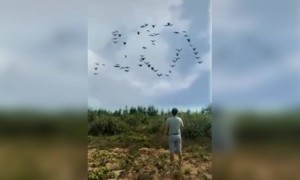 मस्त जादू