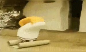 एकदा का हे योगा मैट सरळ झालं की मी व्यायाम सुरू करायचं ठरवलंय!