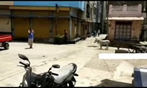 यांच्यामध्ये एवढा टॅलेंट येतो कुठून..!!