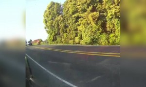 सहनशक्ती काय असते त्याचे उत्तम उदाहरण यापेक्षा वेगळे काय असू शकेल.