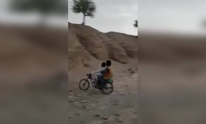 ड्रायव्हर असा पाहिजे.....