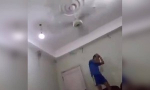 घरी बसून असले उद्योग करणारे वेगळ्याच विश्वात आहेत....