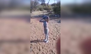 राग असा आला पाहिजे..!