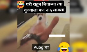 घरी राहून बिचाऱ्या त्या कुत्र्याला नाद लावला pubg चा..!!!