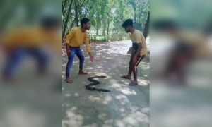 तुम्ही सांगू शकता का काय आहे..??