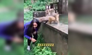 अजुन बनवा व्हिडिओ...!!