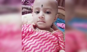 किती गोड पिल्लू आहे...!!