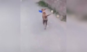 शेवटी आई ती आईच असते.