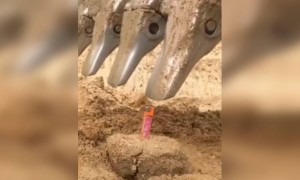 कोणाला काय सुचेल सांगता येत नाही