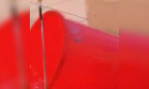 हे सर्वोत्कृष्ट कॉमेडी एक्टर आहेत..!!!