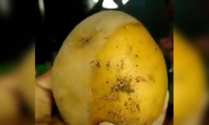 मेकअप केला तर बटाटा पण सुंदर दिसतो..!!