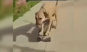 लॉकडाऊन पूर्ण झाल्यानंतर...