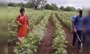 जोडीदाराची साथ असली की कुठलाही व्यवसाय सहज करता येतो..!!