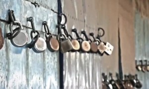 मराठी कलाकारांनी दिला नवा संदेश,सादर केले नवे गाणे 'पुन्हा एकदा गरुड भरारी घेऊ'..