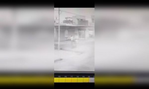 वादळा पासून वाचण्यासाठी शेड पकडून उभा होता