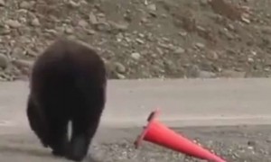 व्हिडिओ छोटा आहे पण काही तरी बोध घेण्यासारखा आहे...