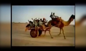 स्कूल चले हम.. कोणाकोणाला आठवतेय हे गाणे जुन्या आठवणी जाग्या करण्यासाठी शेअर करा