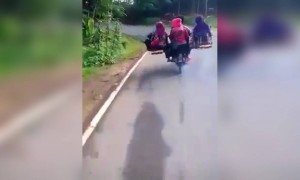 हे पाहून कंपन्या गाड्या बनवायचं थांबवणार