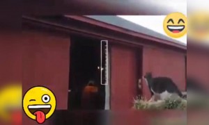 थोडक्यात गणित चुकले