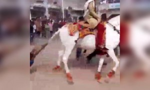 कोणी सांगितलेल करायला..!!