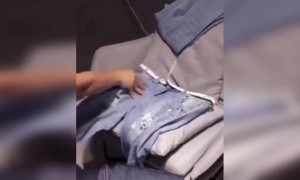 जीन्स पॅन्ट पासून बनवलेली सुंदर कला पहा..!!