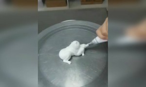 कोणाच्या हातात काय कला ईश्वर देतो, कल्पना करवत नाही. खालील व्हीडिओ पहा.