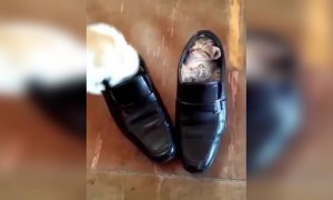 याला म्हणतात जिद्द! त्याला जमलं मग मला का नाही ?