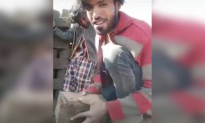 आजच्या दिवसातील सर्वात सुंदर व्हिडीओ..!!