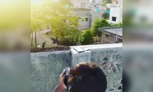 छत्रपती शिवाजी महाराजांचा अप्रतिम फोटो काढला आहे नक्की लाईक करा