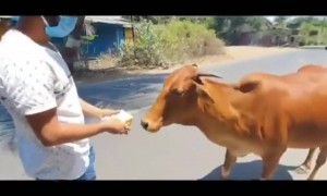 सलाम तुमच्या मदतीला