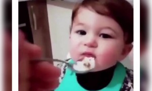 या लहानमुलाचा कोणी नाद करू नका..!!