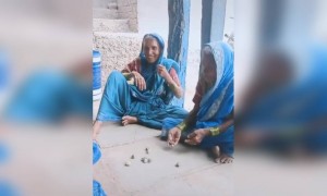 आजीबाई पहा किती मस्त खेळा मध्ये व्यस्त आहेत