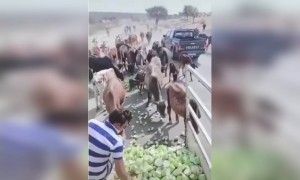 अन्नदान यापेक्षा मोठे अन्नदान कोणतेही नाही..!!!