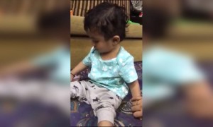 दोन वर्षाचा चिमुकला पण तीक्ष्ण बुध्दी पहा..#शेअर