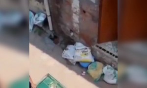 लॉकडाऊन वाढला, म्हणून भावाने प्रेयसीसाठी भाजीचा गाडा थाटला...!!!