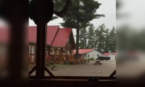 झाडावर वीज पडते हे ऐकलं होतं आता पहा कशी पडते ते