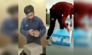 सरकारी आणि खासगी कंपनी मधील कर्मचारीचा फरक.