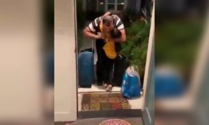 आपली पाखरं अशा प्रकारे वाट पहात असतात गाडी चालवताना काळजी घ्यावी.