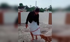 व्हिडिओ बनवताना काय झाले पहा..