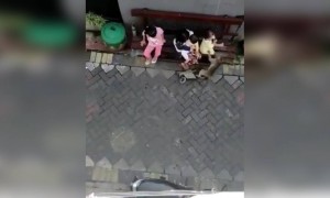 हे माकड वेड आहे का..?