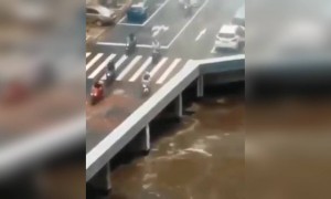 ह्या गाड्या कुठे जात असतील कुणी सांगू शकेल?