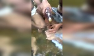 अशी दारू कधी प्यायला आहात का?