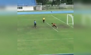 हा व्हिडिओ काळजीपूर्वक पहा.. खूप लवकर आनंद उत्सव साजरा करू नका.